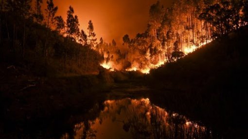 Mais de 60 concelhos de 11 distritos em risco máximo de incêndio