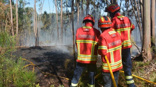 Mais de 30 concelhos de quatro distritos em risco máximo de incêndio