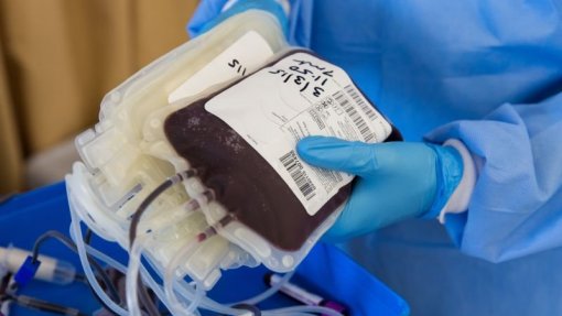 Covid-19: Inscritos cerca de 700 potenciais dadores de plasma sanguíneo convalescente