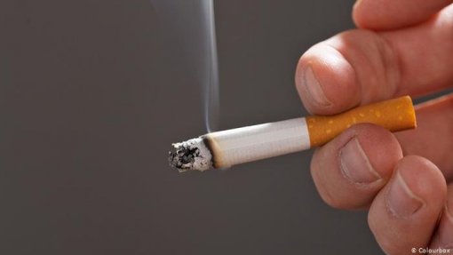 Tabaco é responsável por uma em cada cinco mortes por doença cardiovascular - OMS