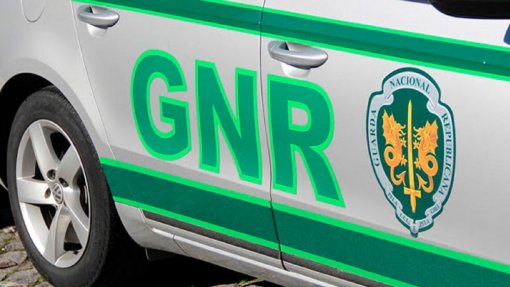 Covid-19: GNR fecha espaço noturno em Gaia com mais de 100 pessoas e pista de dança aberta