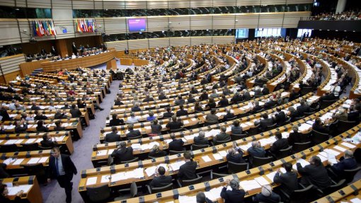 Eurodeputados defendem uma gestão sustentável das florestas