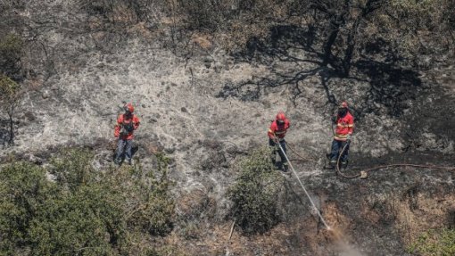 Incêndios: &quot;Muitas famílias&quot; estrangeiras abandonaram o interior