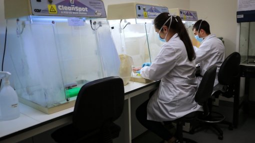 Projeto europeu de 6ME vai mimetizar tecidos atingidos pela artrite reumatoide