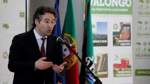 Covid-19: Valongo apela à rápida abertura do centro de retaguarda para libertar hospitais