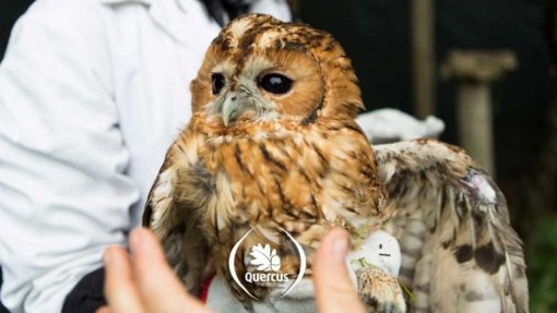 Aumenta o número de animais acolhidos pelo Centro de Recuperação de Santo André