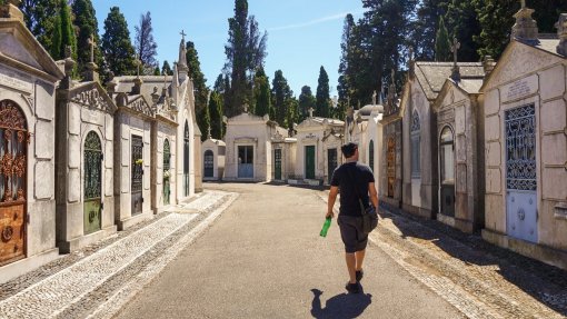 Covid-19: Cemitérios em Lisboa abertos no fim de semana mas com controlo de entradas