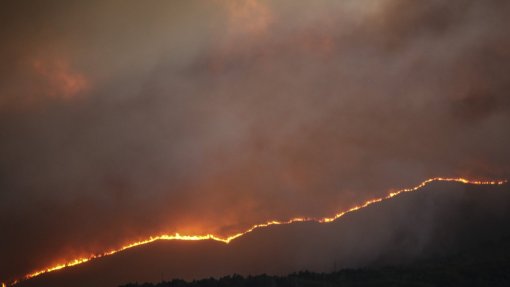 Incêndios: PR autoriza arrendamento forçado mas exige “muito rigor&quot; na fundamentação