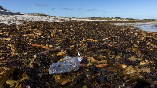 EUA exportam lixo de plástico para países que tentam ser &quot;amigos&quot; do ambiente