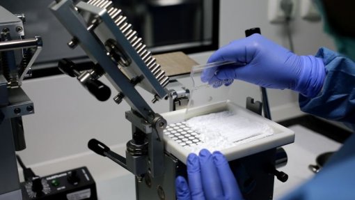 Covid-19: Farmacêutica sul-africana assina acordo para a produção de potencial vacina