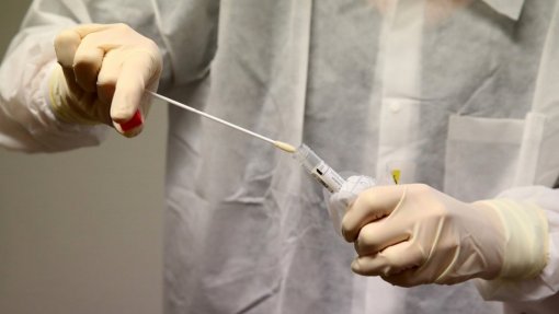 Covid-19: Portugal faz hoje 10 vezes mais testes por mês do que no início da pandemia