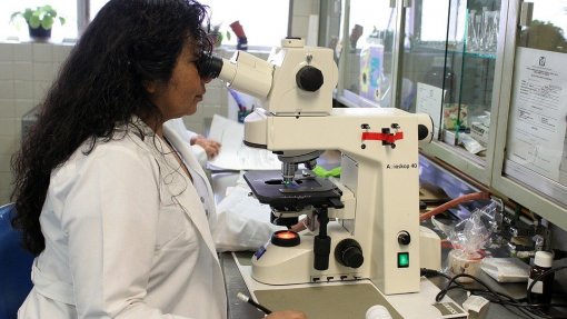 Covid-19: FCT aprova 12 projetos de investigação para reforçar combate à pandemia