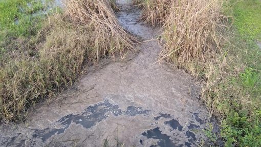 Câmara de Mira exige resolução urgente do problema das descargas de efluentes