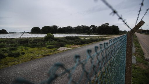 Montijo: Pandemia permite ponderar sobre avaliação ambiental estratégica - Ministro