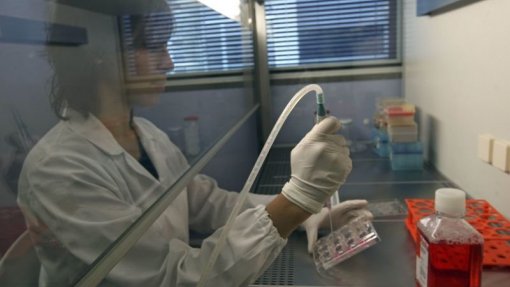 Covid-19: Medicamento experimental à base de células estaminais está pronto a usar