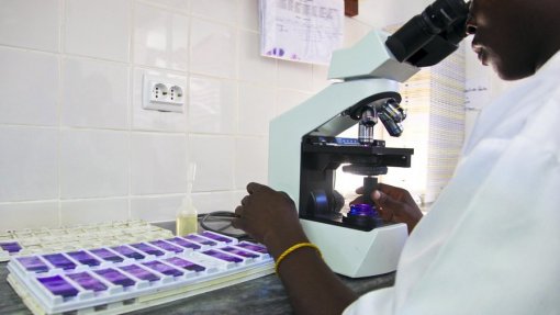 Moçambique lança projeto-piloto que pode prevenir 75% dos casos de malária - Governo