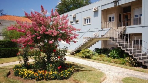 Covid-19: Fundação Sophia de Coimbra tem 22 infetados