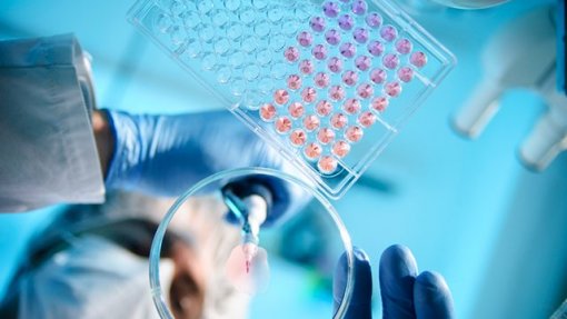 Identificados biomarcadores que detetam maior risco de cancro da mama