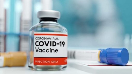 Covid-19: Pfizer prepara-se para pedir autorização imediata para a sua vacina