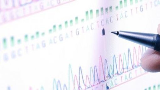 Maioria dos doentes oncológicos nunca ouviram falar de mutações genéticas BRCA