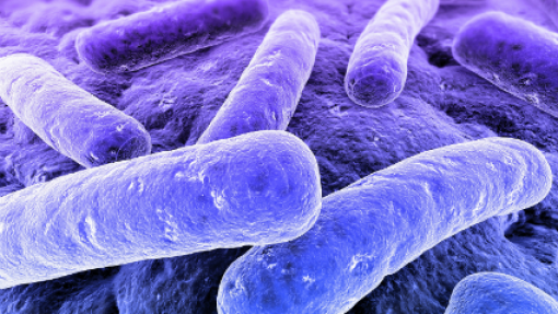 Número de internados devido ao surto de ‘legionella’ no Grande Porto diminui para 14