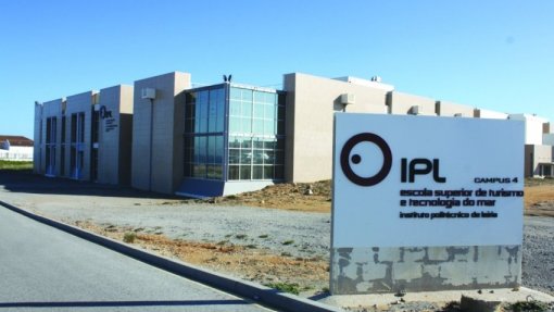 Covid-19: Politécnico de Leiria estuda impacto social da pandemia em lares