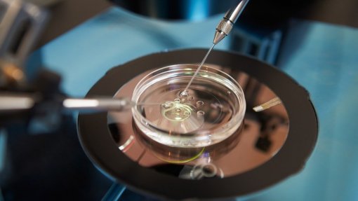 OE2021: Aprovado plano para diminuir listas de espera na procriação medicamente assistida