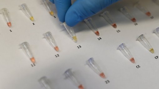 Covid-19: Região de Leiria cria reserva de cinco mil testes rápidos