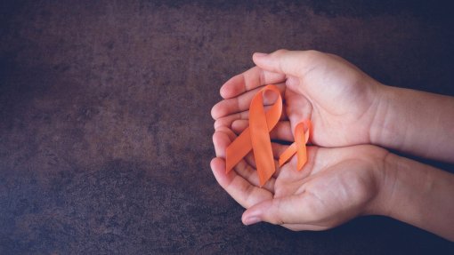 Grupo de peritos apresenta &quot;Consenso Estratégico para a Esclerose Múltipla&quot;