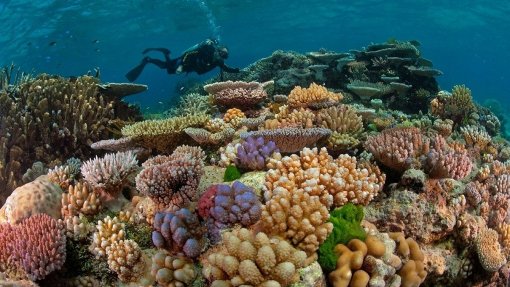 Obras-primas da natureza em perigo devido às alterações climáticas - Relatório