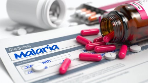 Tratamento da malária baixa mortalidade infantil para metade e custa três euros