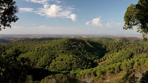 Herdade da Contenda em Moura vence Prémio Nacional de Paisagem 2020
