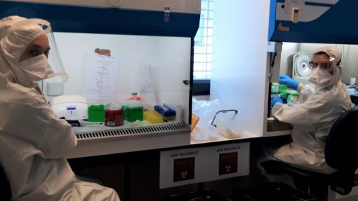 Covid-19: UTAD vai aumentar capacidade do centro de testagem