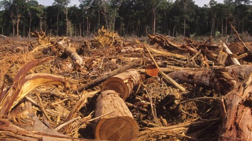 Metas de desenvolvimento têm de trabalhar “com e não contra a Natureza” – relatório
