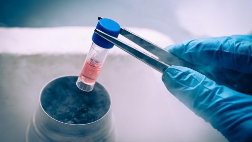 Covid-19: Empresa de Cantanhede testa medicamento com células estaminais