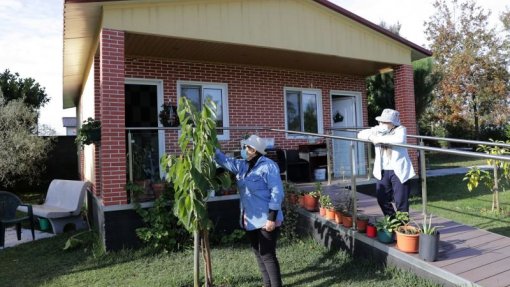 &quot;Aldeia&quot; social em Águeda permite a idosos viverem com autonomia