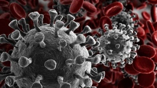 Covid-19: Estudo revela três novas variantes do vírus a circular em Portugal