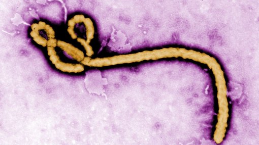 Organizações internacionais anunciam reserva de vacinas contra o ébola