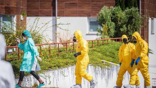 Covid-19: Portugal ultrapassa 500 mil casos desde o inicio da pandemia