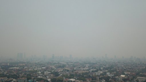 Reduzir poluição atmosférica poderia evitar 50.000 mortes nas cidades europeias - estudo