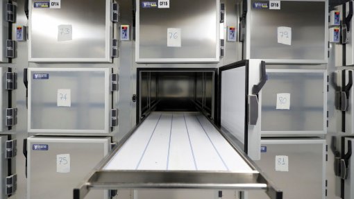 Covid-19: DGS pede ao Instituto de Medicina Legal soluções para aumentar refrigeração