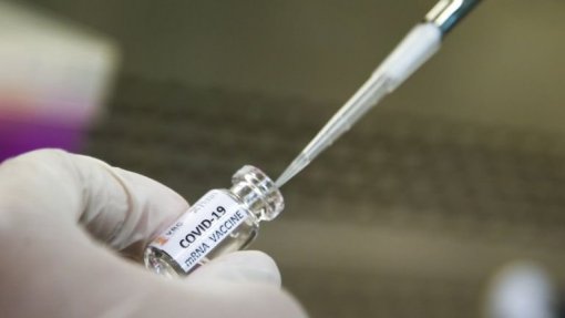 Covid-19: Regulador europeu deve aprovar vacina da AstraZeneca esta semana e avalia a russa