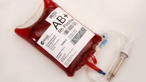 ILGA Portugal recebe cerca de três denúncias por semana de homossexuais impedidos de doar sangue