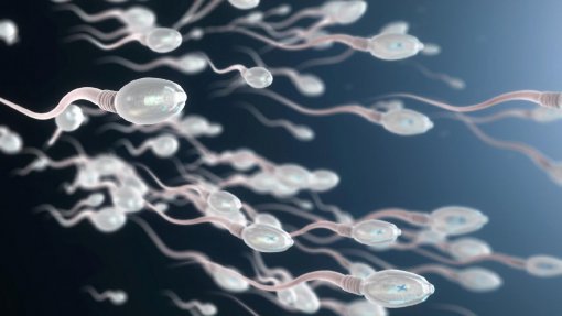 Covid-19: Doença poderá influenciar qualidade do esperma humano - estudo