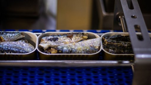 Covid-19: Surto na fábrica de conservas ESIP de Peniche com 36 infetados