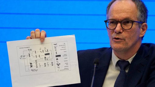 Covid-19: OMS diz ser improvável que vírus tenha escapado de laboratório