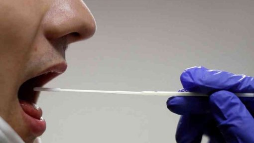 Covid-19: &quot;Os Verdes&quot; sugerem testes de saliva nas escolas e serviços púbicos de saúde