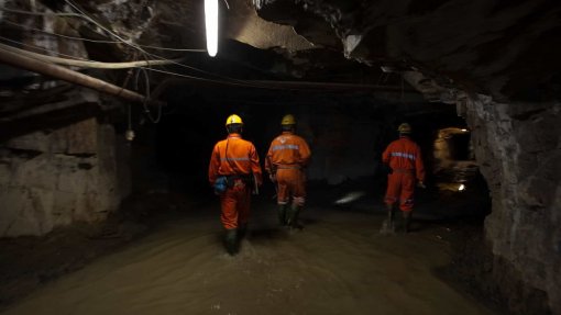 Os Verdes exigem estudo epidemiológico a antigos mineiros de urânio