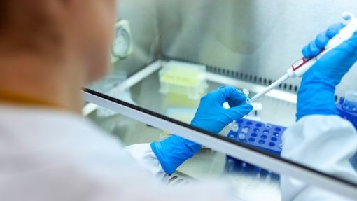 Biotecnológica de Cantanhede aposta no desenvolvimento de imunoterapias