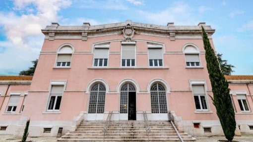 Covid-19/Um ano: Aumenta procura de ajuda por dependências - Júlio de Matos